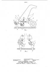 Устройство для обрезки ботвы корнеплодов на корню (патент 869625)