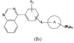 Комбинированная терапия композициями наночастиц таксана и ингибиторами хэджхог (патент 2561055)
