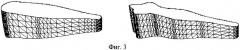 Способ определения объемов и площадей поверхностей клеток диатомовых водорослей (патент 2541447)