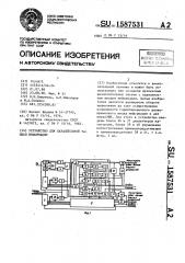 Устройство для параллельной записи информации (патент 1587531)