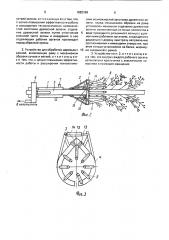 Способ обработки деревьев с кроной и устройство для его осуществления (патент 1682169)