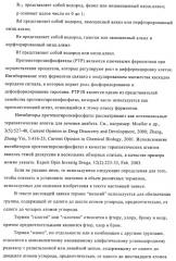 Производные диаминопирролохиназолинов в качестве ингибиторов протеинтирозинфосфатазы (патент 2367664)