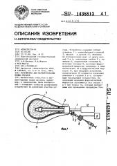 Устройство для магнитотерапии полых органов (патент 1438813)