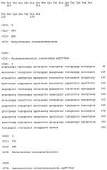 Новые флуоресцентные белки из entacmaea quadricolor и способ их получения (патент 2395581)