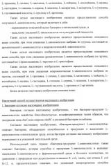 Способ получения l-треонина или l-аргинина с использованием бактерии, принадлежащей к роду escherichia, в которой инактивирован ген chac или оперон chabc (патент 2392327)