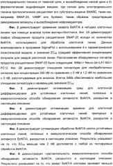 Иммунологические анализы активности ботулинического токсина серотипа а (патент 2491293)