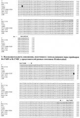 Способ генотипирования штаммов mycobacterium tuberculosis (патент 2547598)