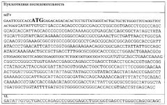 Мономолекулярный химерный т-клеточный рецептор к раково-эмбриональному антигену (патент 2652955)