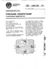 Способ измерения нестабильности размеров изображения кинескопа (патент 1381735)