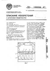 Устройство для термообработки мясных туш (патент 1400586)