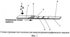 Тест-система для полуколичественного иммунохроматографического анализа (патент 2510510)