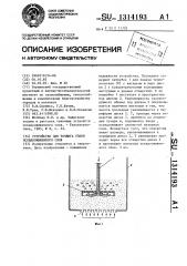 Устройство для розжига топки псевдоожиженного слоя (патент 1314193)