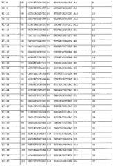 Новый способ пцр-секвенирования и его применение в генотипировании hla (патент 2587606)