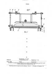 Устройство для предпосевной обработки семенного материала (патент 1825602)