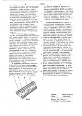 Холодильная камера (патент 1206582)