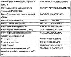 Векторы для экспрессии простатоассоциированных антигенов (патент 2650860)