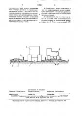 Способ посадки растений на избыточно увлажненных землях (патент 1635920)