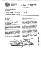 Устройство для отвода засорителей щебнеочистительной машины (патент 1710631)
