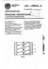 Теплообменная труба (патент 1040313)