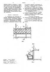 Устройство для кормления животных (патент 982606)