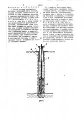 Способ посадки виноградного растения и устройство для его осуществления (патент 1423052)