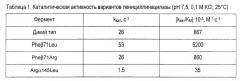 Способ улучшения каталитических свойств пенициллинацилазы (патент 2575304)