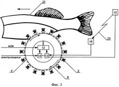 Устройство для зачистки брюшной полости рыбы (патент 2571905)