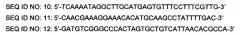 Микроорганизмы corynebacterium, способные утилизировать ксилозу, и способ получения l-лизина с применением таких микроорганизмов (патент 2584593)