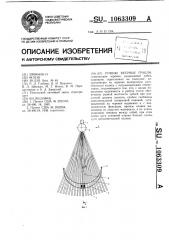 Ручные веерные грабли (патент 1063309)