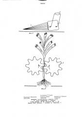 Устройство для прополки (патент 906400)