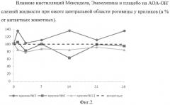 Способ лечения ожогов глаза (патент 2495651)