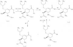 (3r,4r,5s)-5-амино-4-ациламино-3-(1-этил-пропокси)-циклогекс-1-ен-карбоновые кислоты, их эфиры и способ применения (патент 2469020)