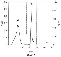 Способ очистки и/или выделения биологически активного гранулоцитарного колониестимулирующего фактора (патент 2358980)