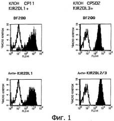 Способы и композиции для повышения эффективности антител для лечебных целей с использованием соединений, потенциирующих nk-клетки (патент 2396981)