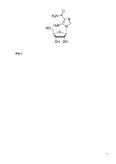 Геропротектор для модельных животных (патент 2639500)