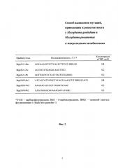 Способ выявления мутаций, приводящих к резистентности у mycoplasma genitalium и mycoplasma pneumoniae к макролидным антибиотикам (патент 2646123)