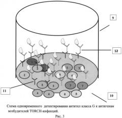 Способ одновременного детектирования антител класса g к антигенам возбудителей torch-инфекций с использованием иммуночипа (патент 2545792)