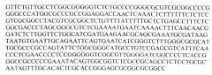 Штамм trichoderma citrinoviride bissett - продуцент антибиотиков-пептаиболов с антигрибной и антибактериальной активностью (патент 2564577)