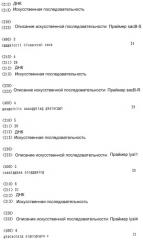 Коринеформная бактерия, продуцент l-аминокислоты и способ получения l-аминокислоты (патент 2333247)