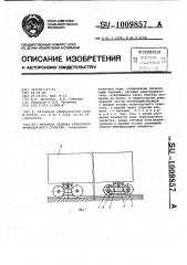 Моторная тележка рельсового транспортного средства (патент 1009857)