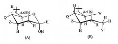 Модифицированные сахариды, их конъюгаты и их изготовление (патент 2531909)