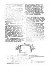 Способ охраны выработок (патент 1362844)