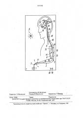 Устройство для моделирования процесса формирования условного рефлекса (патент 1691869)