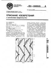 Регулярная насадка для тепломассообменных и реакционных процессов (патент 1069848)