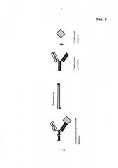 Способ детекции партнера по связыванию мультиспецифического связывающего агента (патент 2620563)