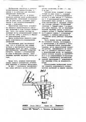 Рабочий орган разбрасывателя удобрений (патент 1087101)