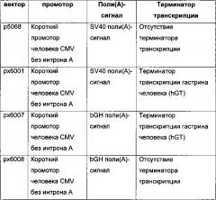 Комбинации элементов экспрессионного вектора, новые способы получения клеток-продуцентов и их применение для рекомбинантного получения полипептидов (патент 2639519)