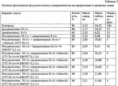 Состав для протравливания семян сельскохозяйственных культур (патент 2638044)