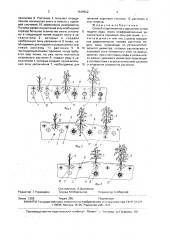 Способ подпочвенного орошения (патент 1639522)