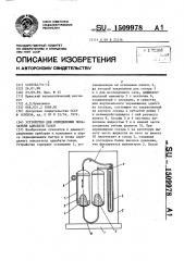 Устройство для определения показателя адиабаты газов (патент 1509978)